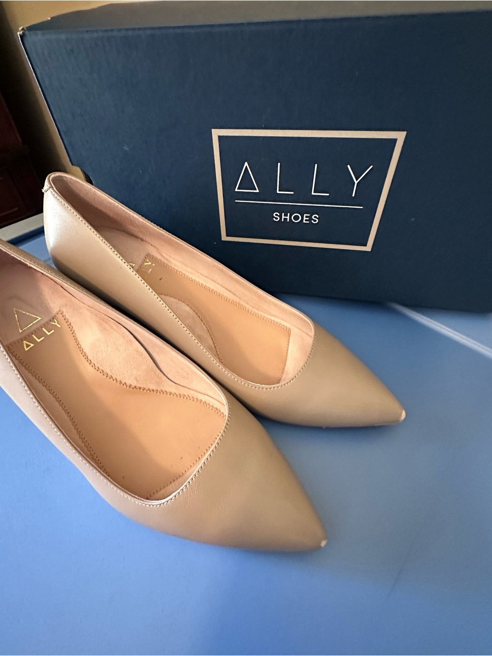 Ally Women’s Pointed-Toe Block Low Heel Pumps in Nude